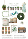 Silver-Dollar Eucalyptus Botanical Candle-Candle-Wax Apothecary-Max & Riley