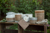 Silver-Dollar Eucalyptus Botanical Candle-Candle-Wax Apothecary-Max & Riley
